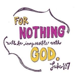 Meet your Posher, Tee